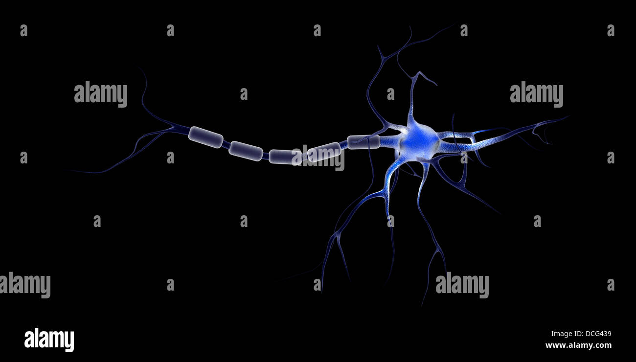 Conceptual image of a neuron. Stock Photo