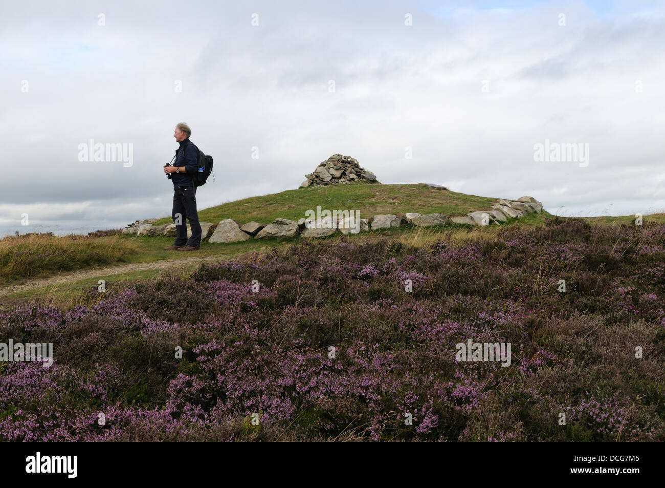 Walker hiker standing near Penycloddiau Bronze Age Burial Mound reconstructed in 2012 Flintshire Wales Cymru UK GB Stock Photo
