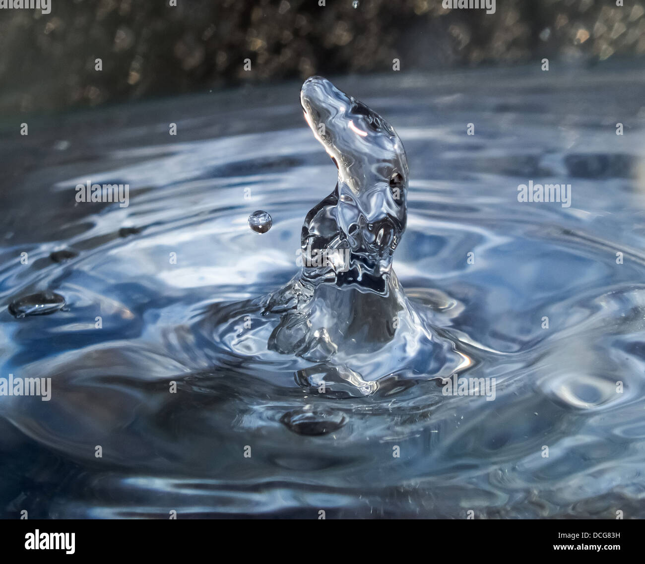 drop of rain water Stock Photo Alamy
