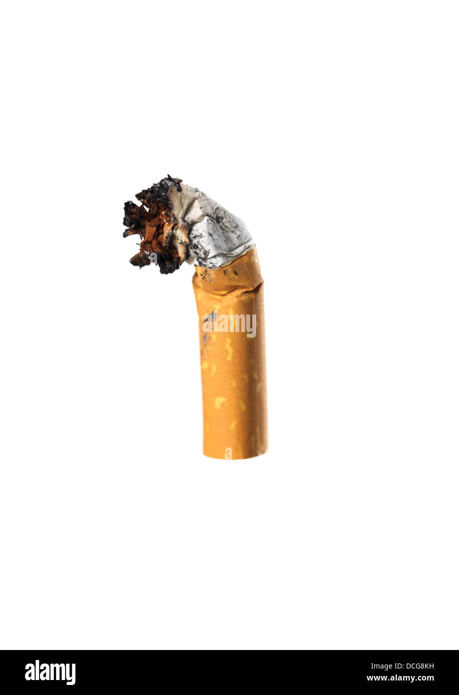Cigarette smoke dog hi-res stock photography and images