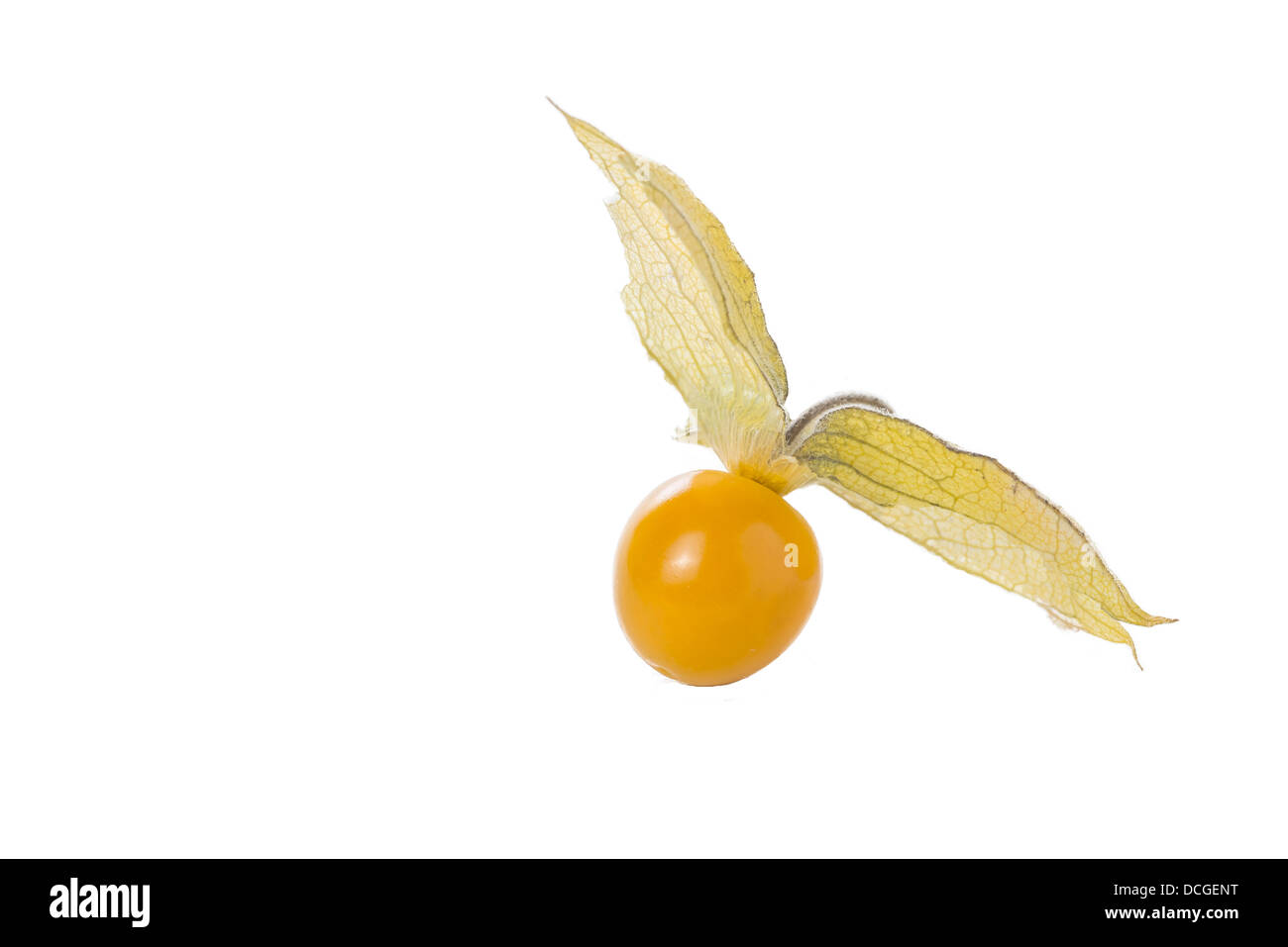 ripe physalis on white background isolated Stock Photo