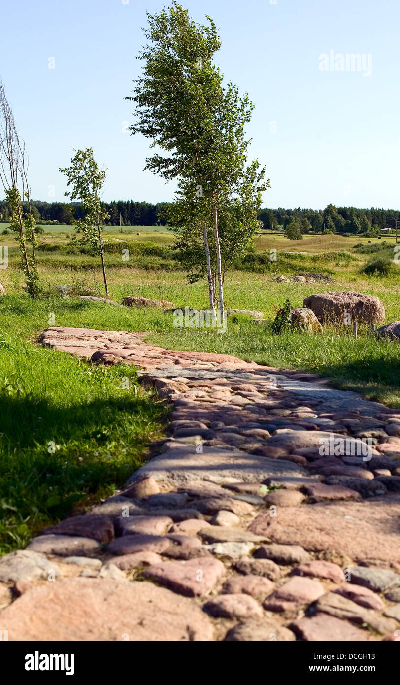 Grass, tree and nature around path with stones Stock Photo