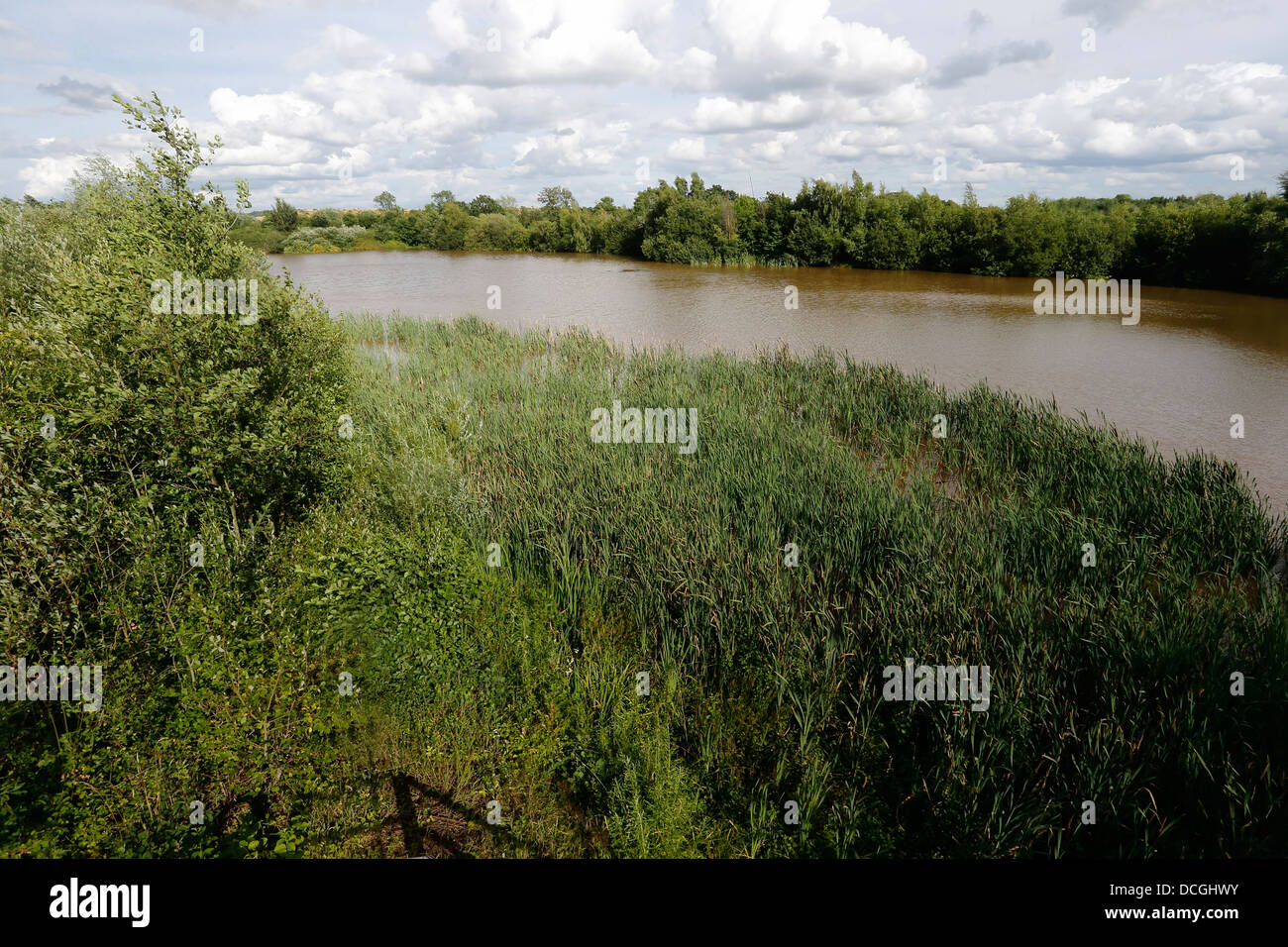 Middleton Hall RSPB Reserve, Midlands, July 2013 Stock Photo