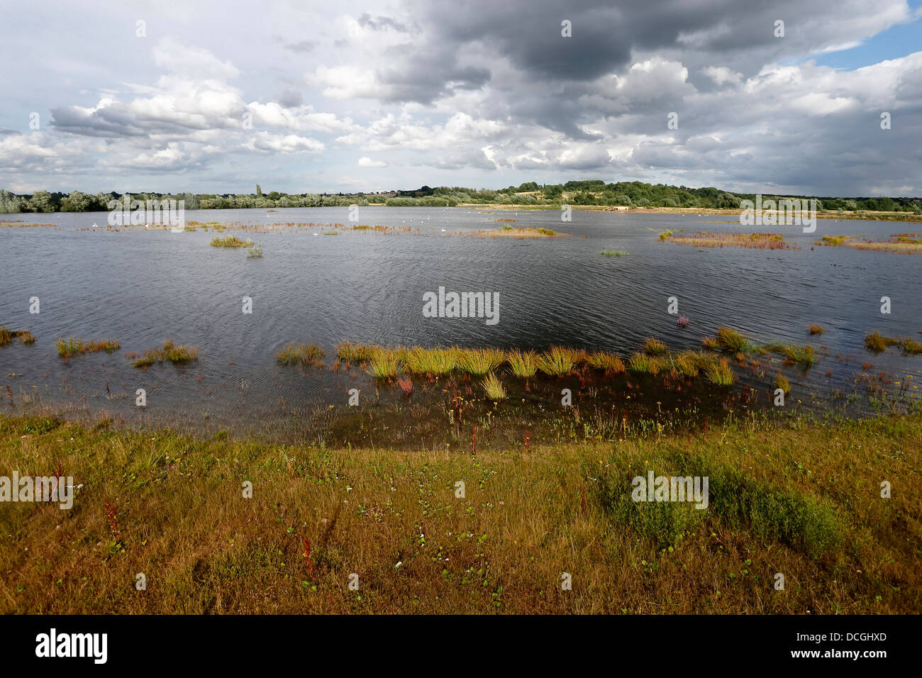 Middleton Hall RSPB Reserve, Midlands, July 2013 Stock Photo