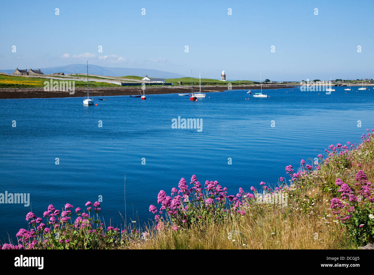 Boats harbour sligo hires stock photography and images Alamy