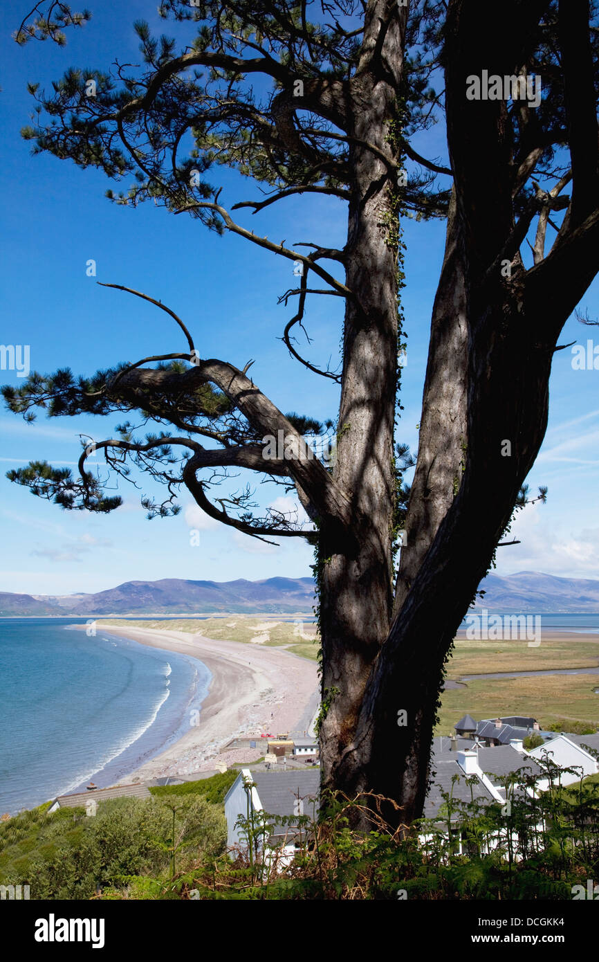 Rosbeigh Beach Near Glenbeigh; County Kerry, Ireland Stock Photo Alamy