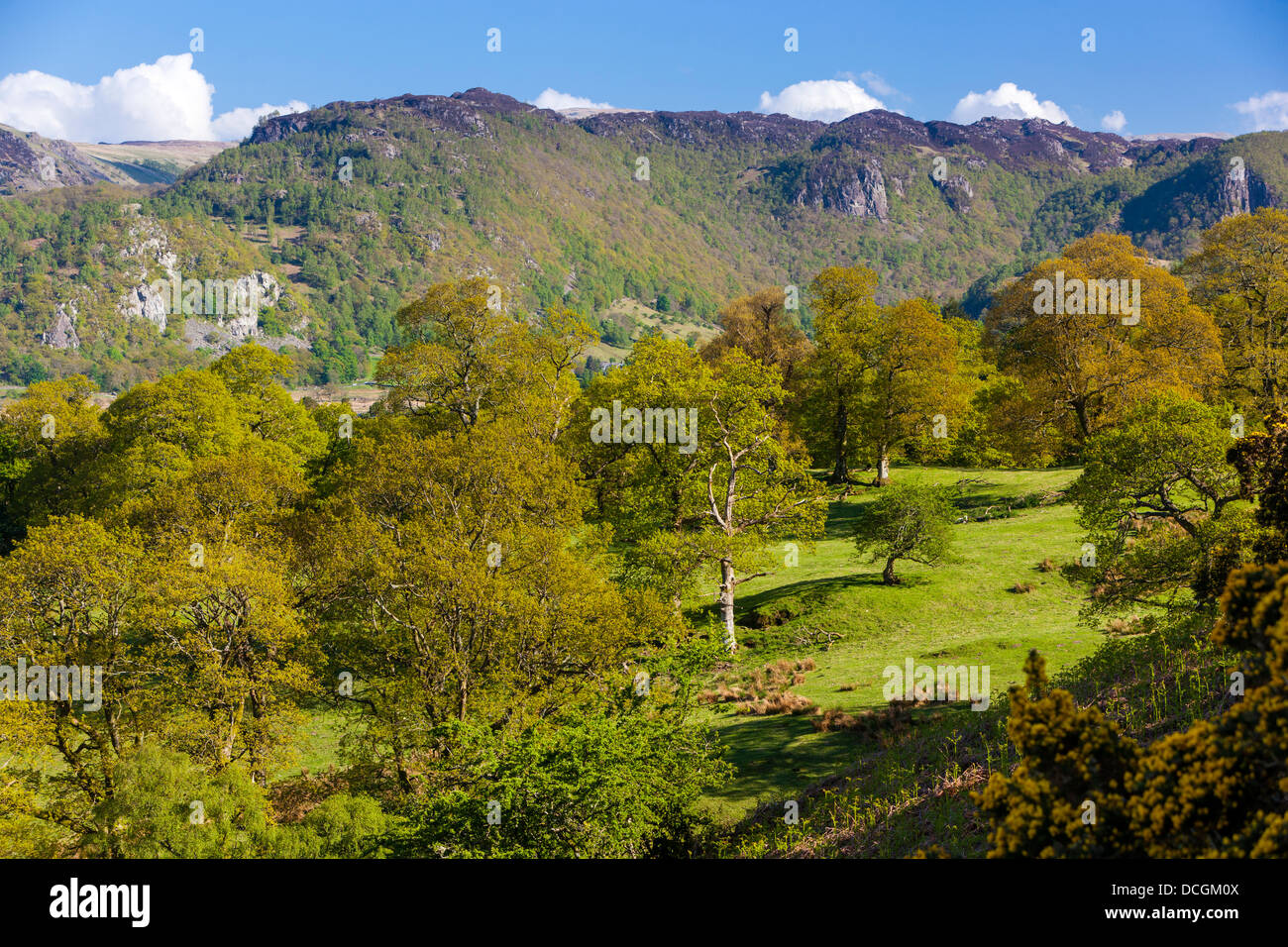Cumbrian landscape, Lake District National Park, Cumbria, England, UK, Europe. Stock Photo