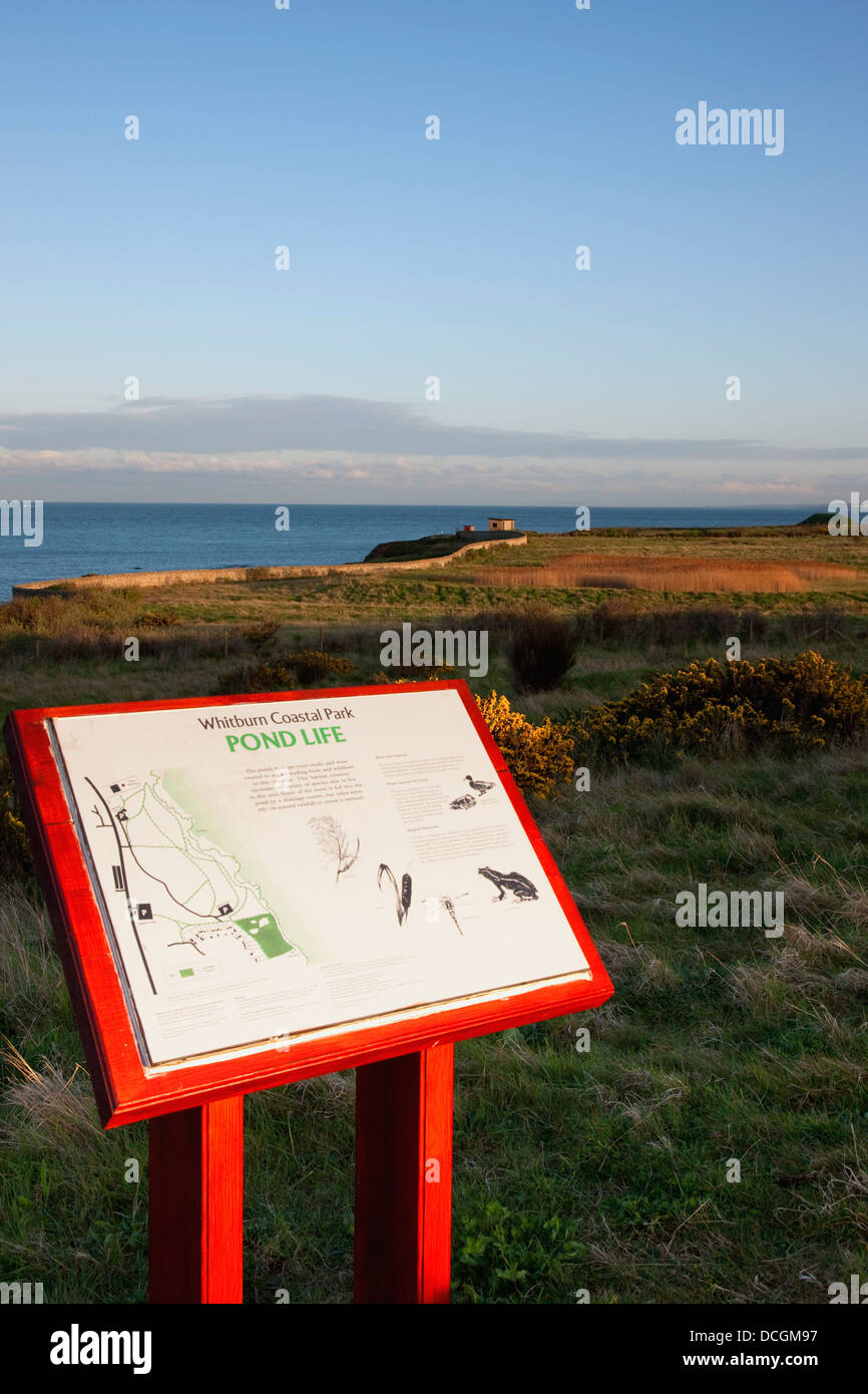 Location Map, South Shields, Tyne And Wear, England Stock Photo