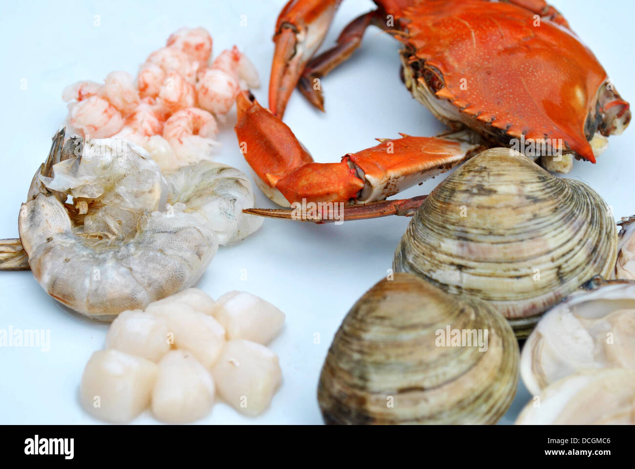 Different Types of Fresh Seafood Stock Photo