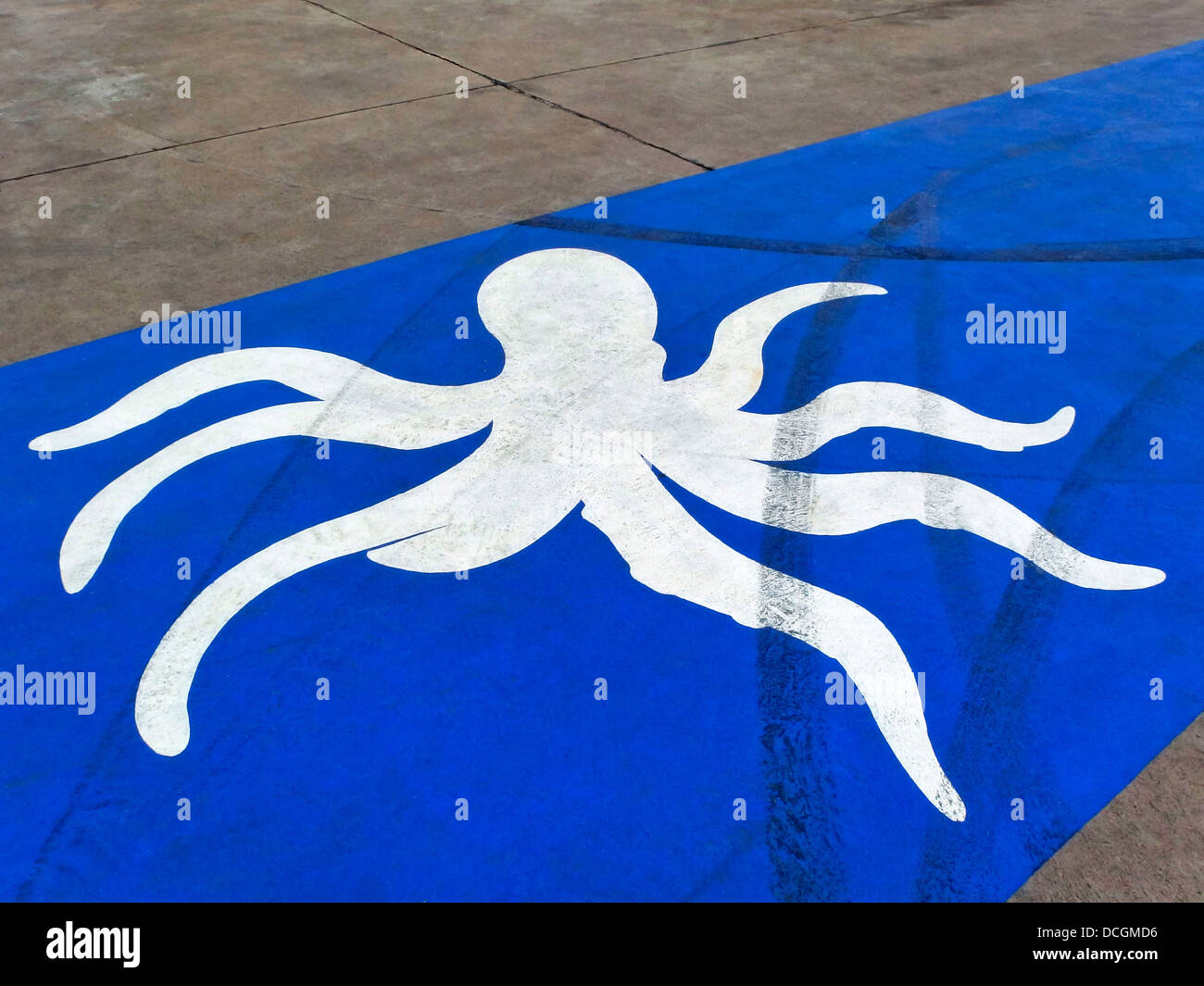 Symbol octopus on the road. Stock Photo