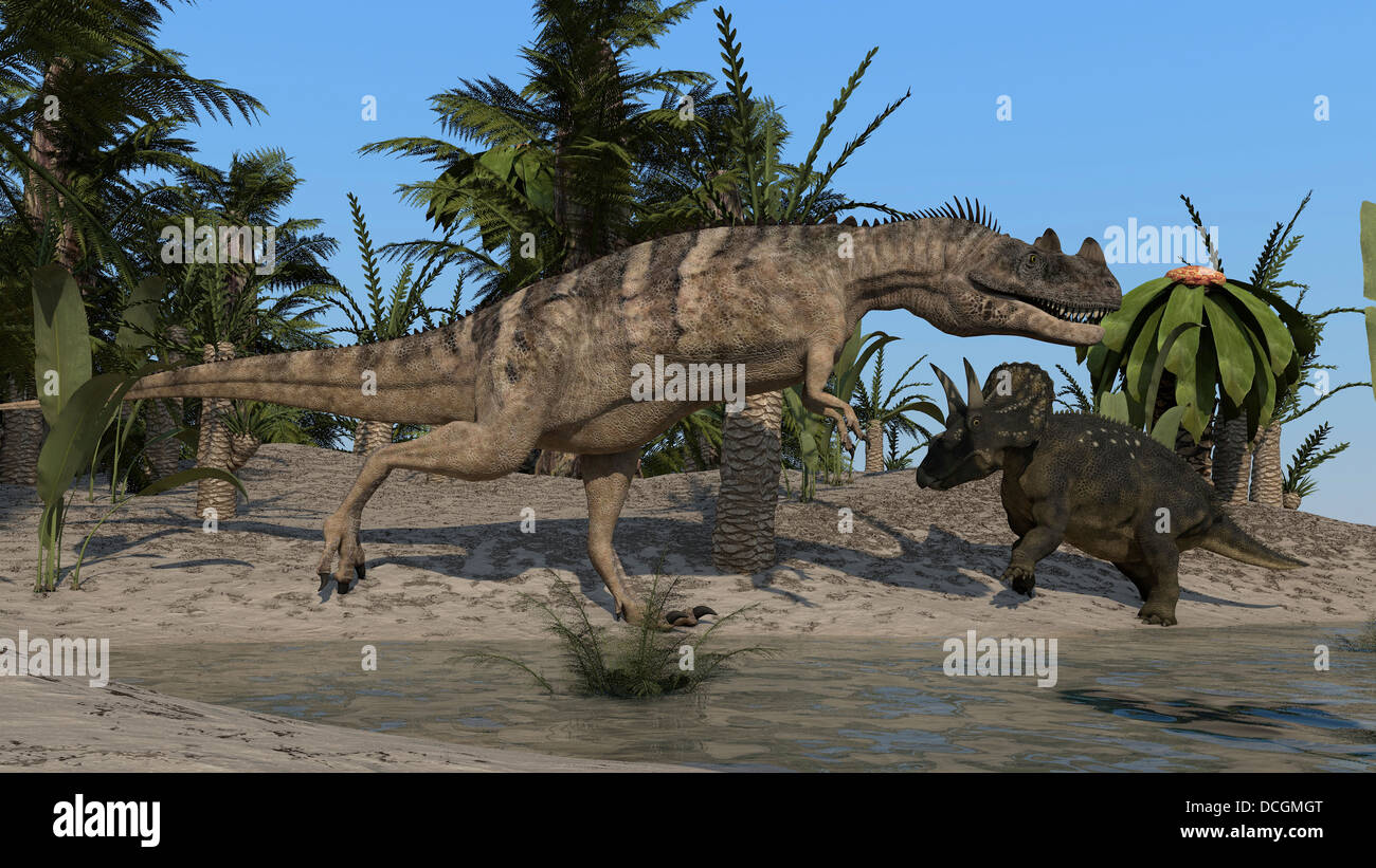 Ceratosaurus hunting down a Triceratops Stock Photo Alamy