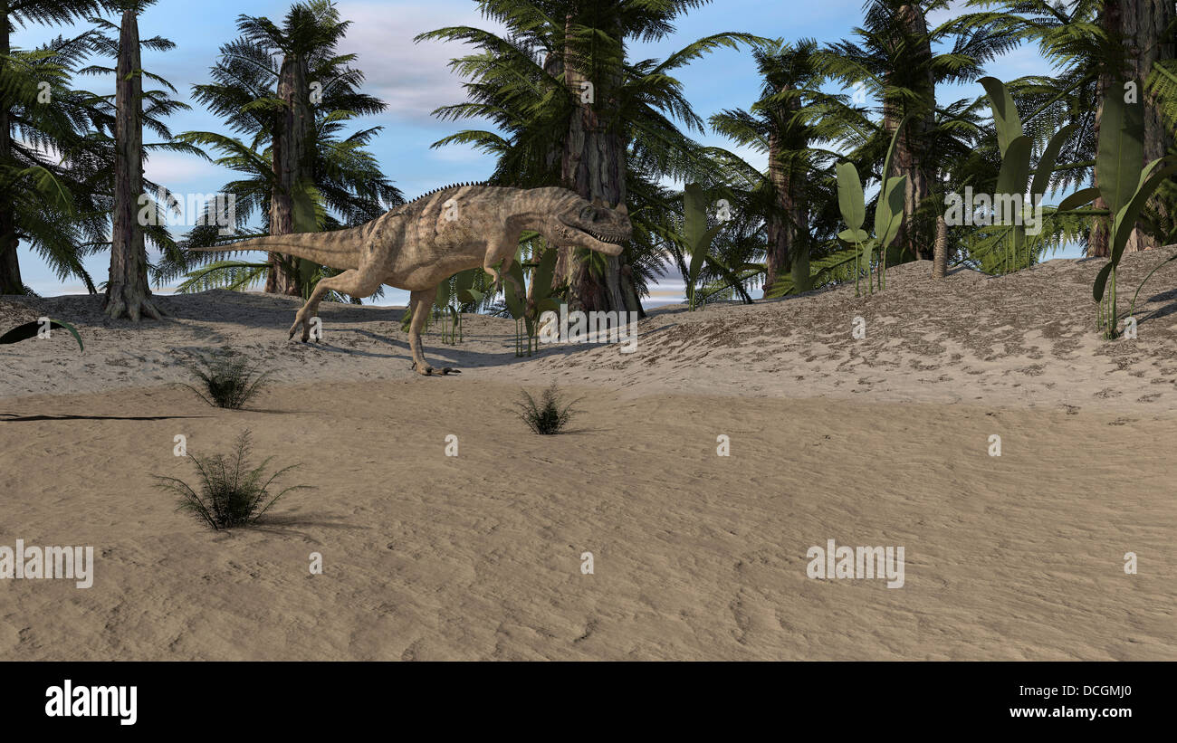 Ceratosaurus hunting in a prehistoric environment Stock Photo Alamy