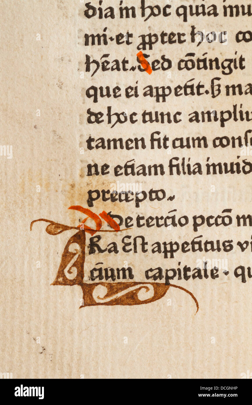 An old ancient book manuscript bible incunable incunabulum block print printing printed cover leather goat skin hyde hide Stock Photo