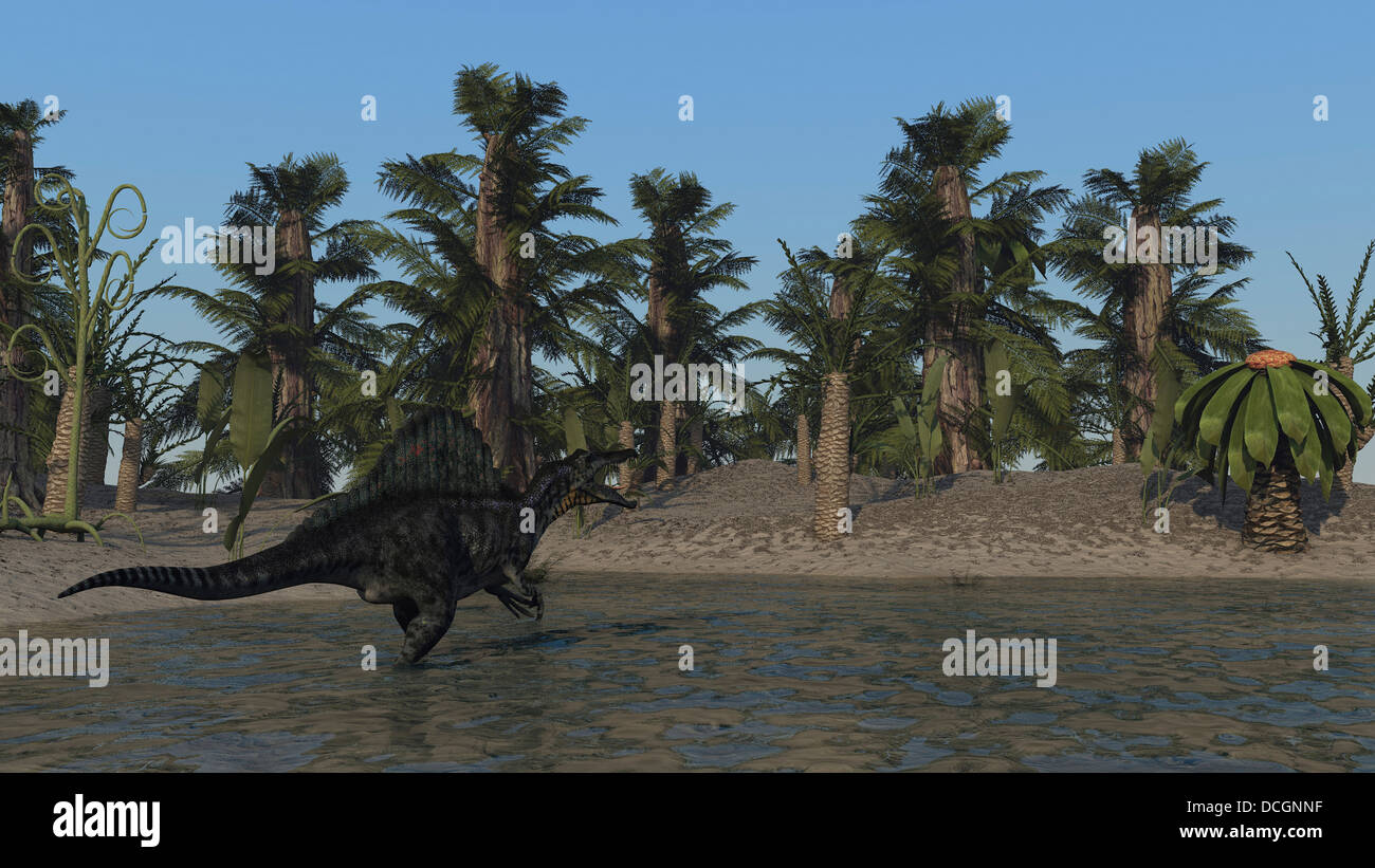Spinosaurus hunting for food in prehistoric waters. Stock Photo
