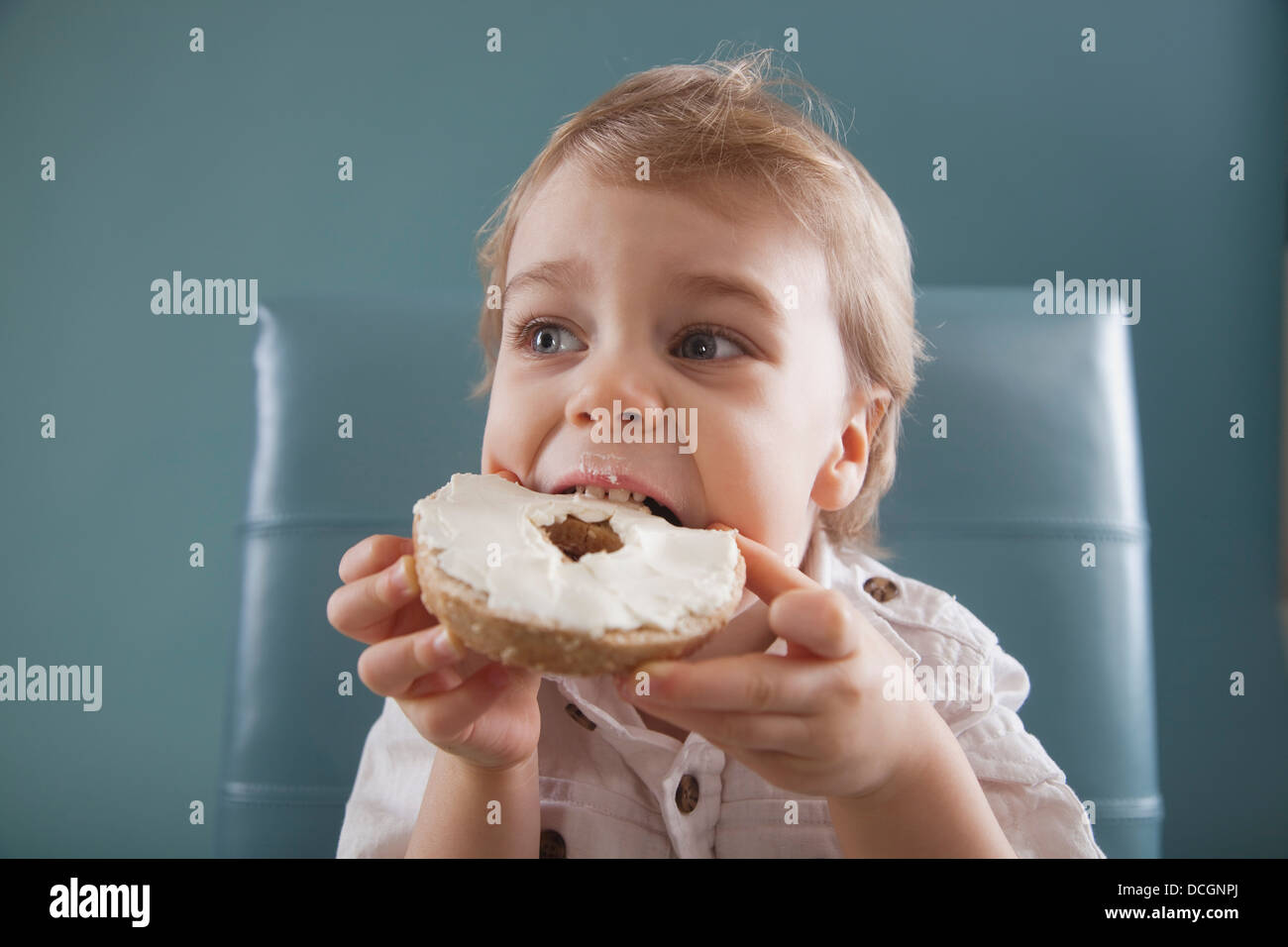 Toddler Biting A Bagel With Cream Cheese; Jordan, Ontario, Canada Stock Photo