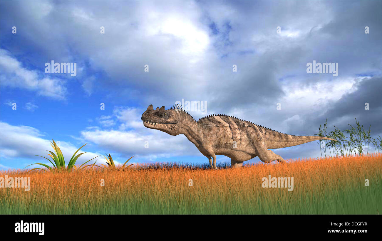 Ceratosaurus hunting in prehistoric grasslands Stock Photo Alamy