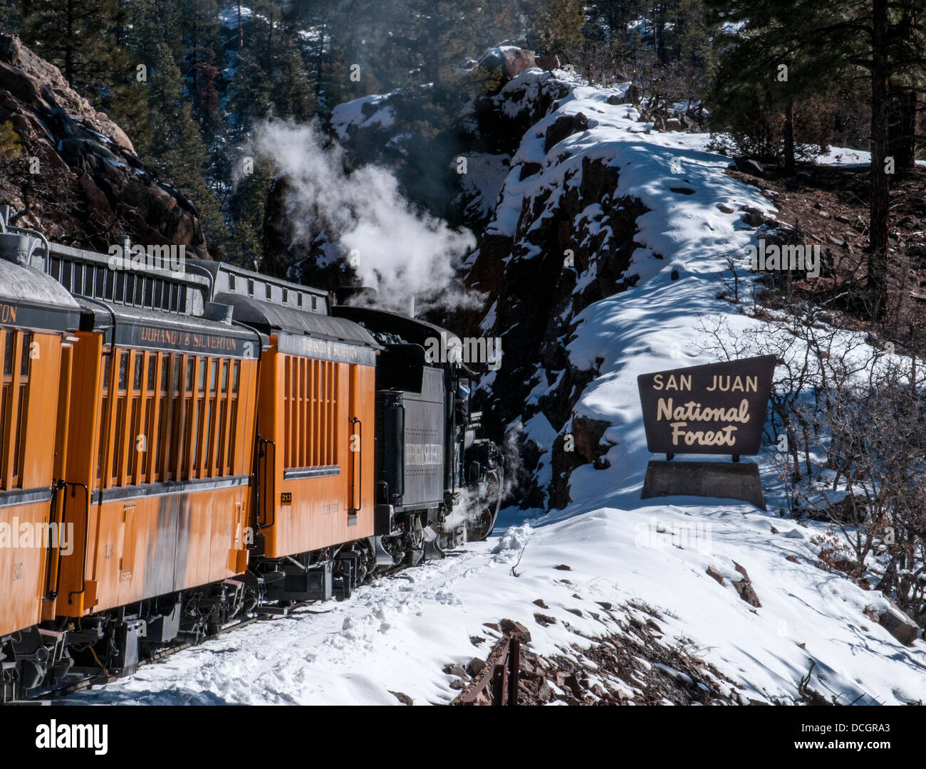 Steam engine and boxcars from the Durango and Silverton Narrow Gauge Railroad entering the San Juan National Forest Stock Photo