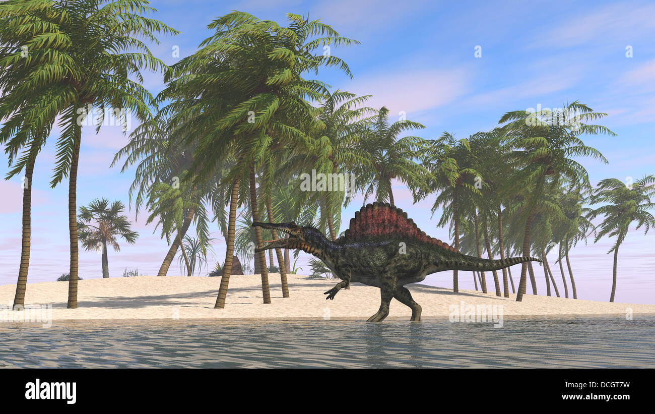 Spinosaurus hunting for its next meal in shallow water. Stock Photo