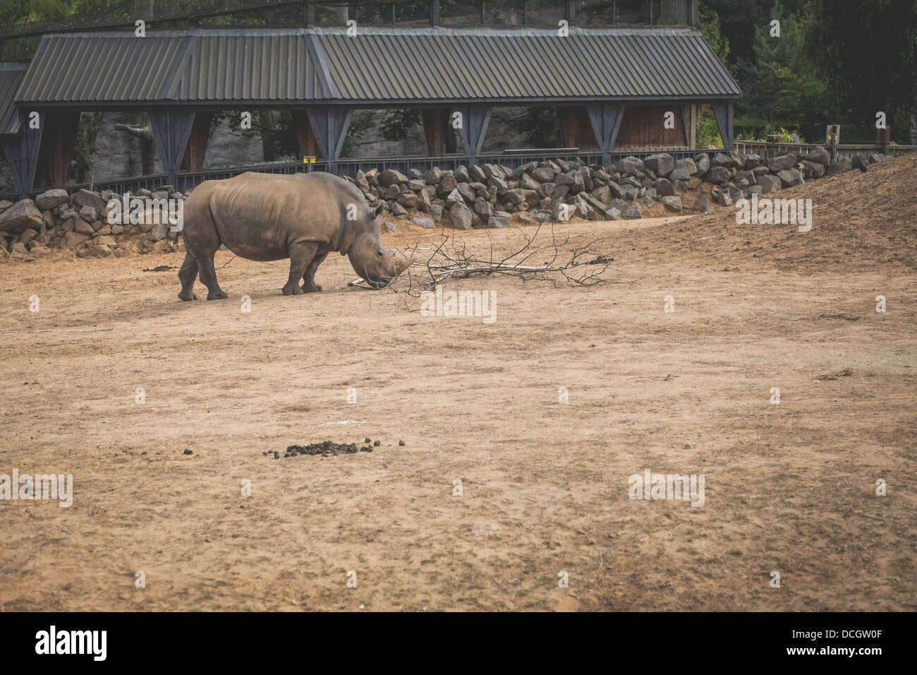 Colchester zoo hi-res stock photography and images - Alamy