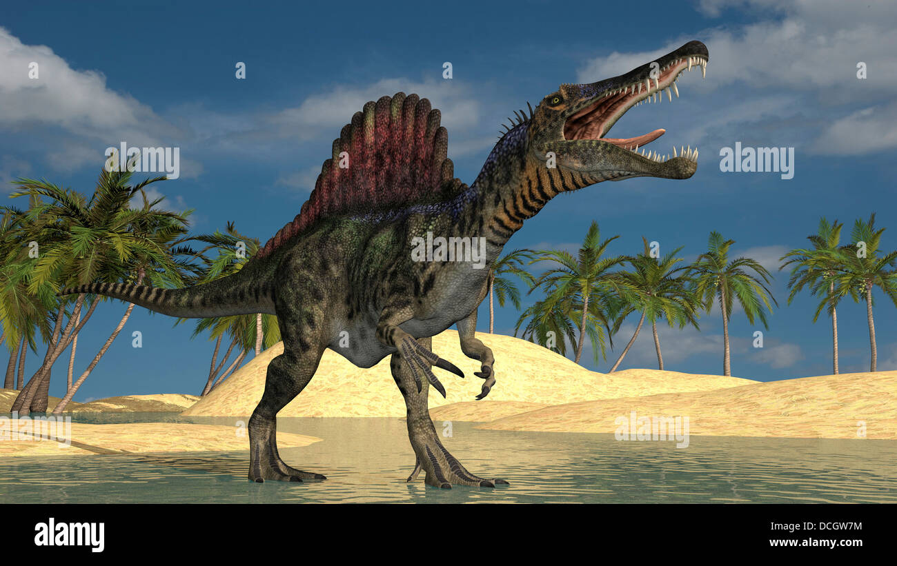 Spinosaurus hunting for its next meal in shallow waters. Stock Photo