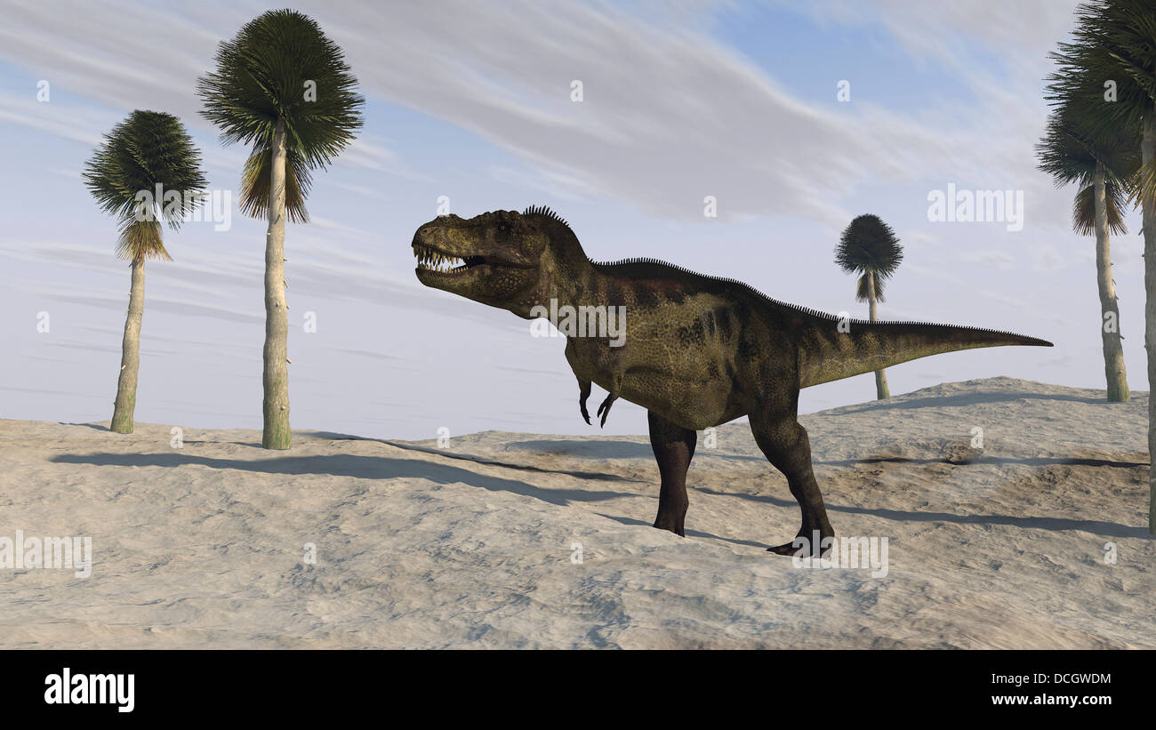 T rex hunting hi-res stock photography and images - Alamy