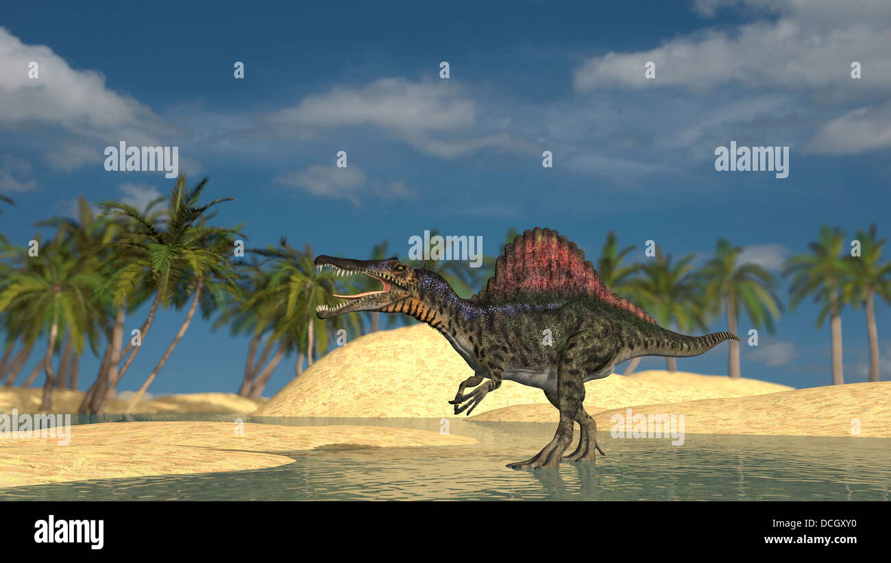 Spinosaurus standing in shallow water. Stock Photo