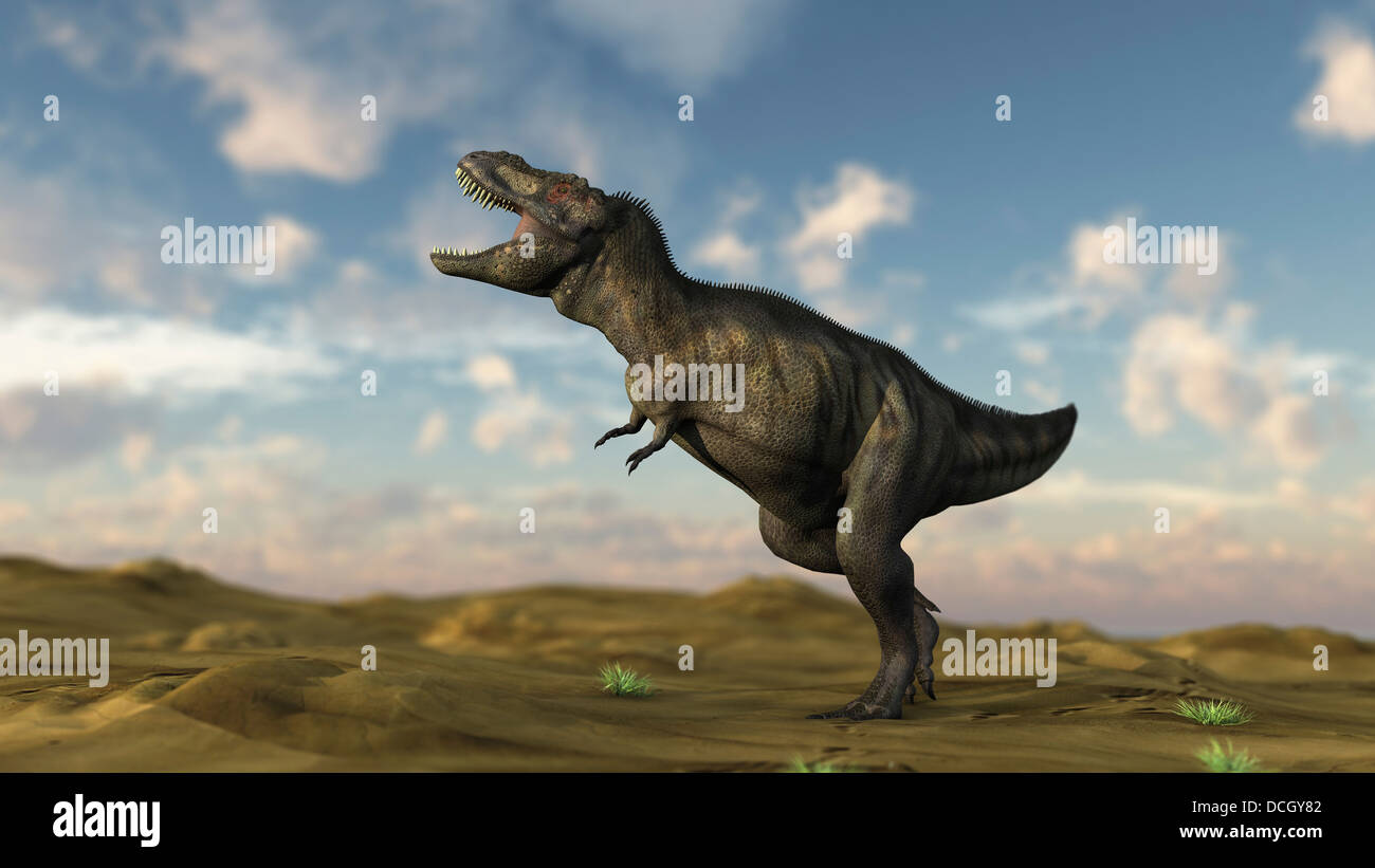 Tyrannosaurus Rex on desert terrain Stock Photo Alamy