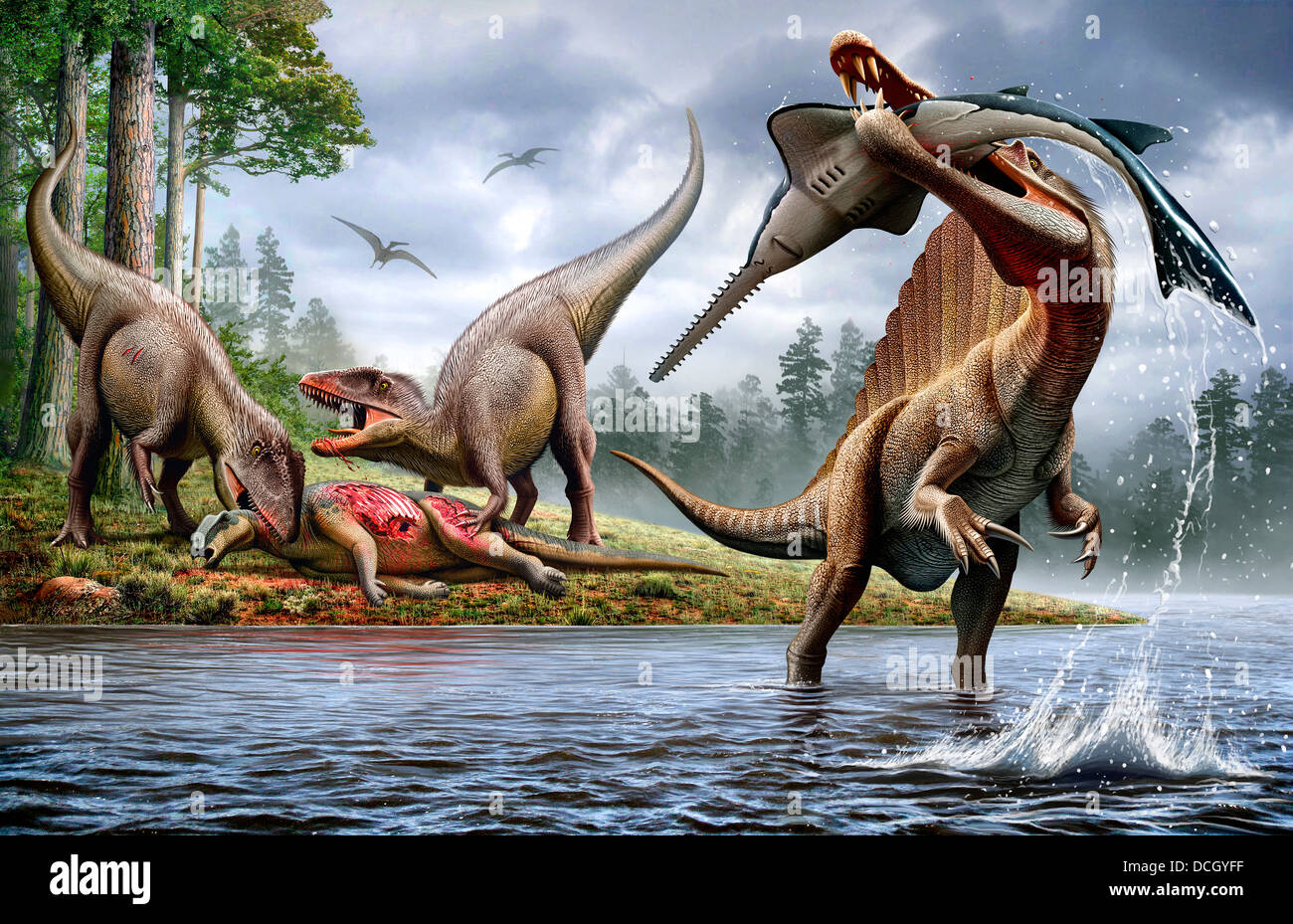 A Spinosaurus hunting an Onchopristis while two Carcharodontosaurus eat the carcass Ouranosaurus in the background.. Stock Photo