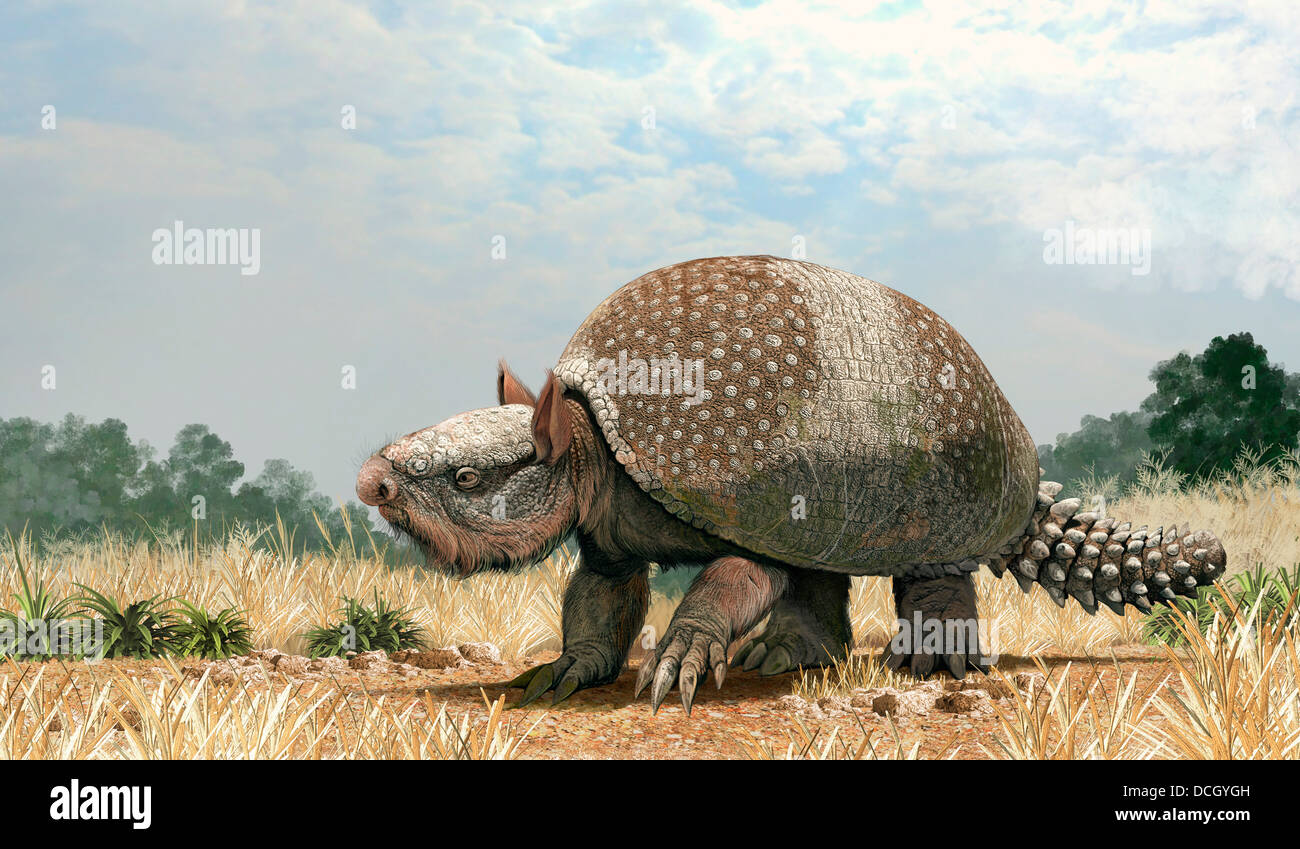 Pleistocene megafauna hi-res stock photography and images - Alamy Pleistocene megafauna hi-res stock photography and images - Alamy