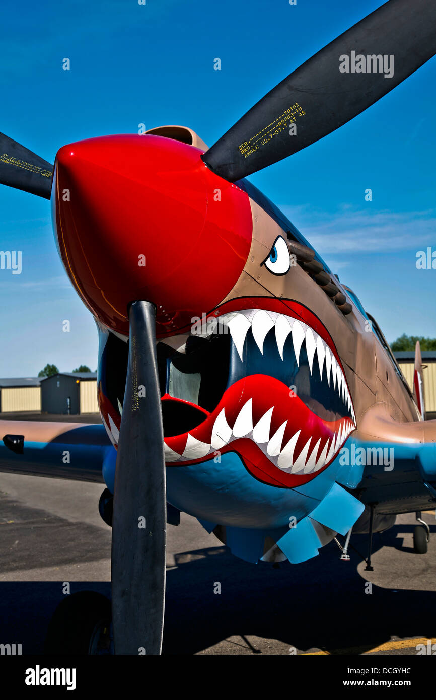Curtiss P-40E Warhawk on display at the Warhawk Air Museum, Nampa, Idaho. Stock Photo