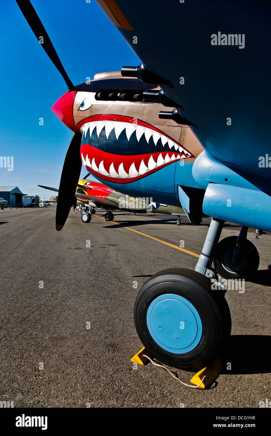 P 40 Warhawk Us Army High Resolution Stock Photography and Images - Alamy