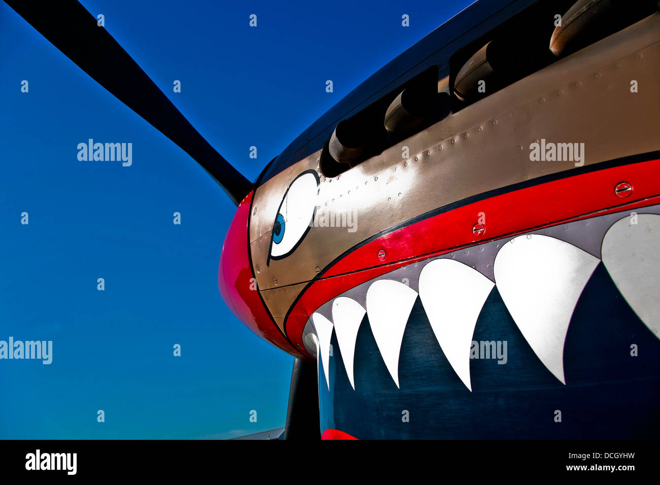 Close-up view of the nose art on a Curtiss P-40E Warhawk on display at the Warhawk Air Museum, Nampa, Idaho. Stock Photo