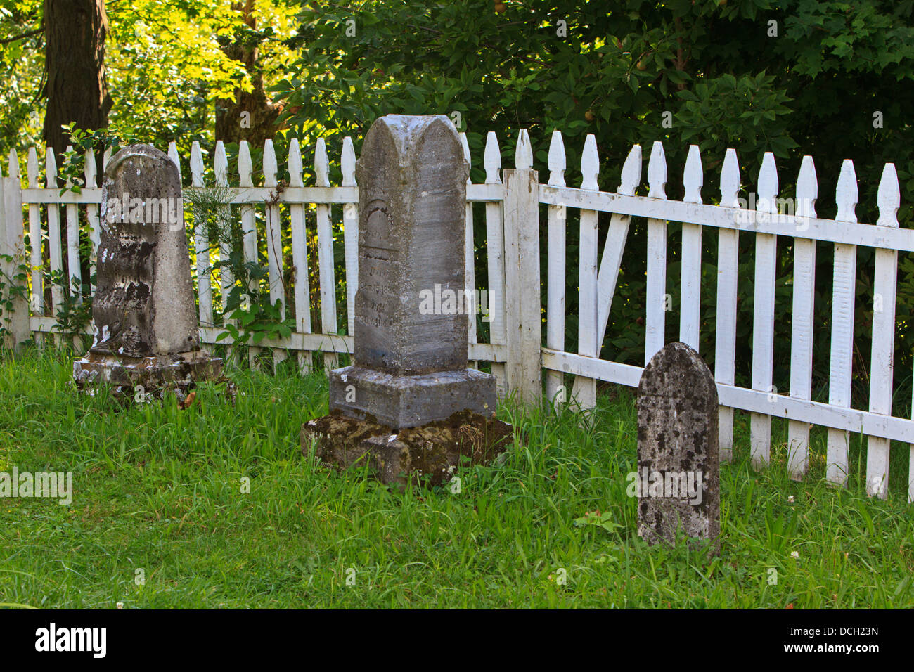 Grave markers with white picket fence in the background (Malabar