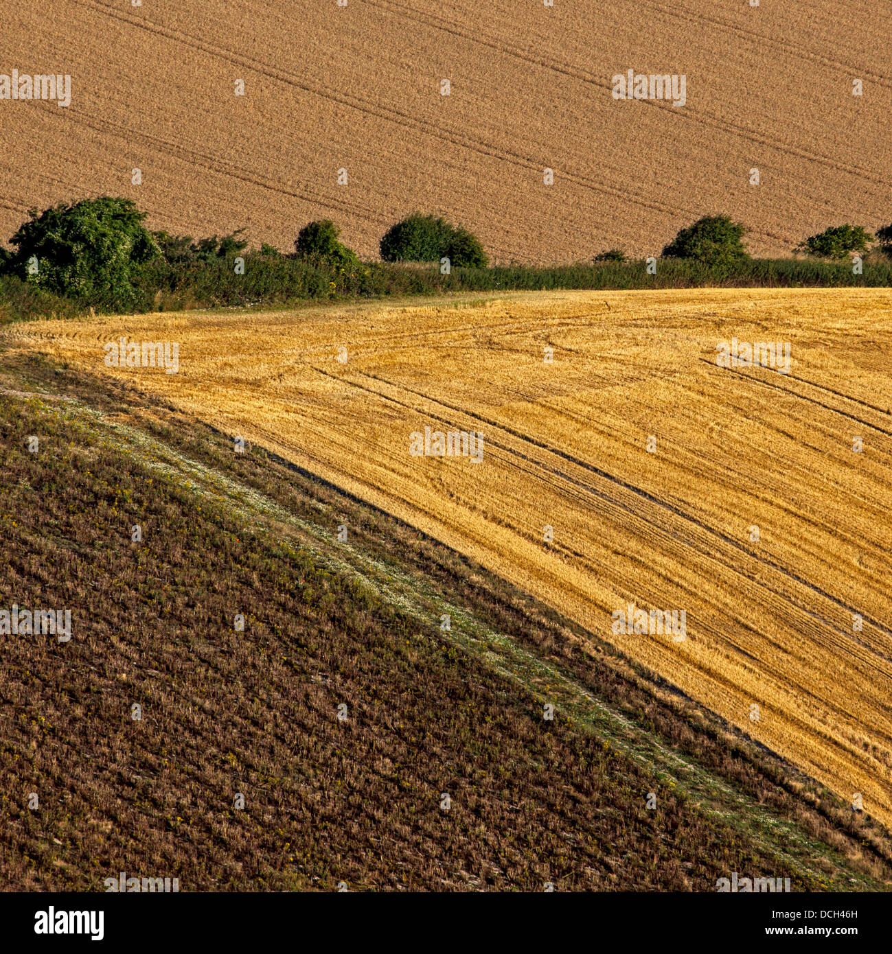 Farmland at the Foot of Firle Beacon Stock Photo