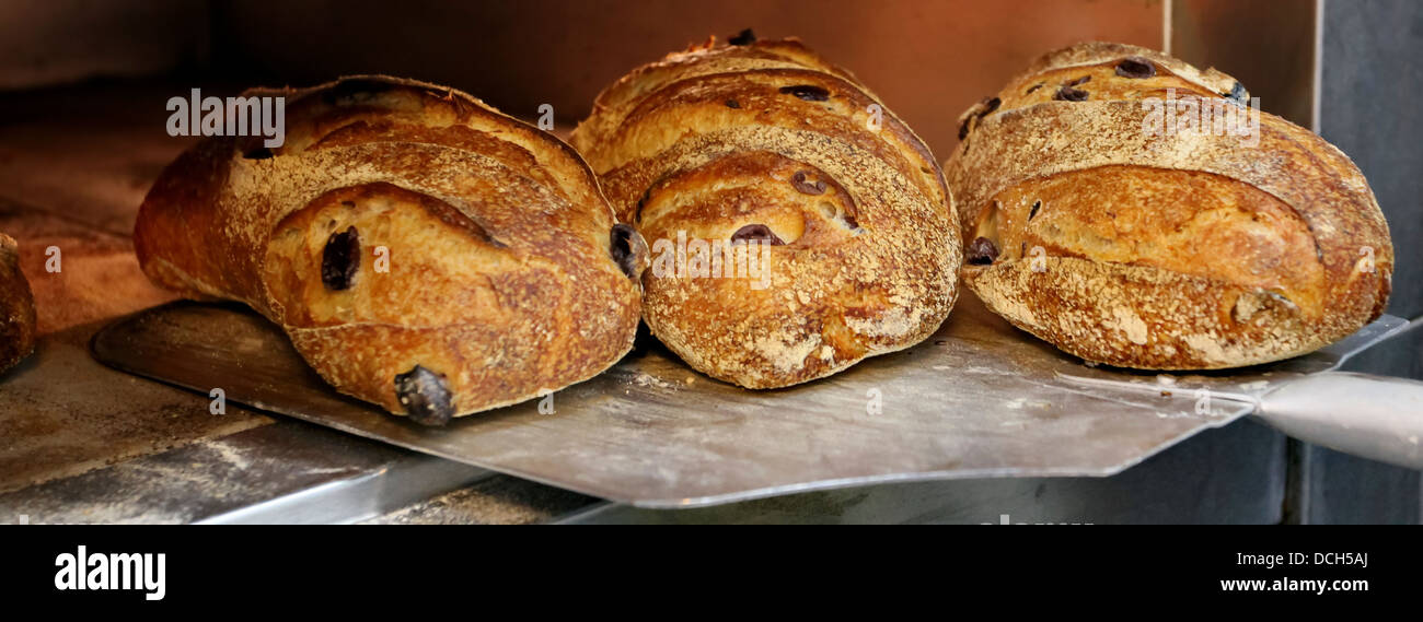 Freshly baked bread in an electric oven Stock Photo Alamy