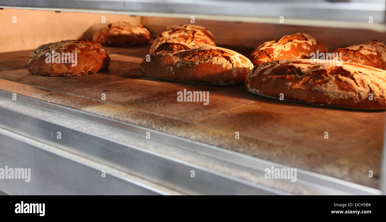 Freshly baked bread in an electric oven Stock Photo Alamy