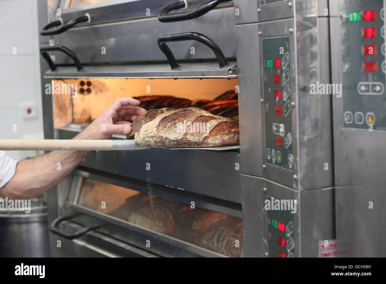 Freshly baked bread in an electric oven Stock Photo Alamy