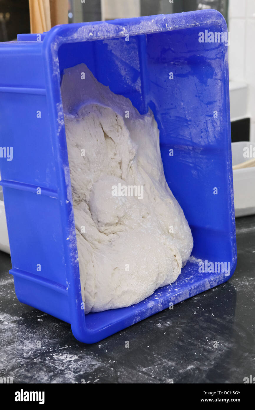 Baker kneads bread dough in a bakery Stock Photo Alamy