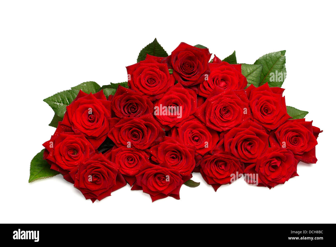Bunch of roses Stock Photo Alamy