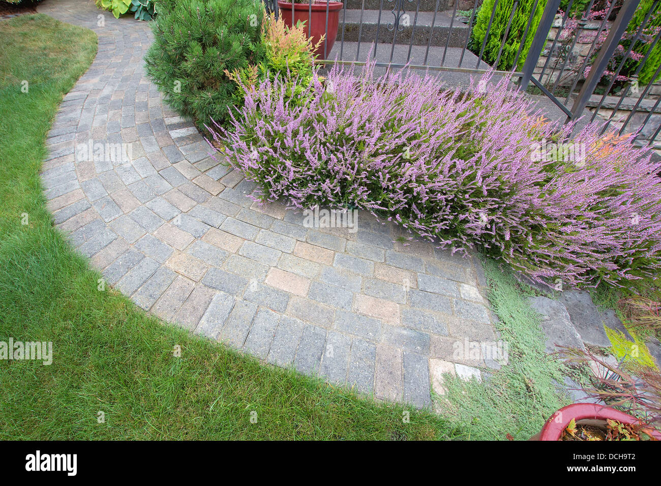 Front Yard Garden Curve Brick Paver Path with Green Grass Lawn Flowering Plants Trees and Shrubs Top View Stock Photo