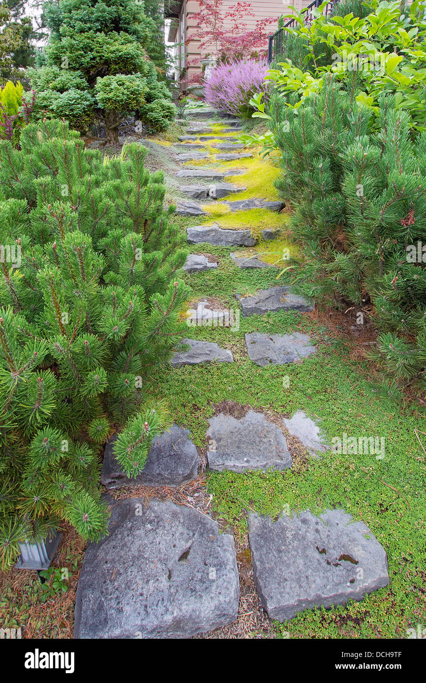 Natural Stone Steps with Green Moss and Creeping Thyme Ground Cover Going Up to Frontyard Garden Stock Photo