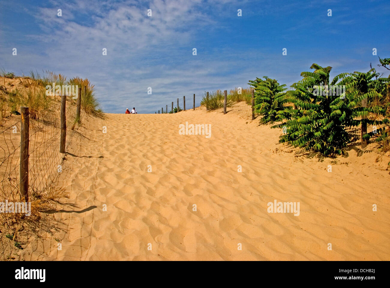 Wide sandy path set between fences leads towards the beach and the Atlantic Ocean. Stock Photo