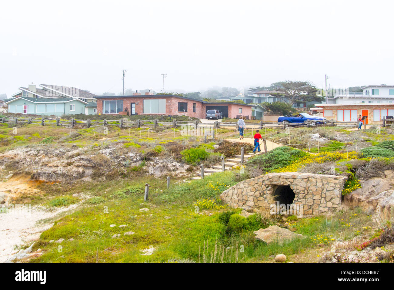 Homes in the town of Pacific Grove overlooking Asilomar state beach, on