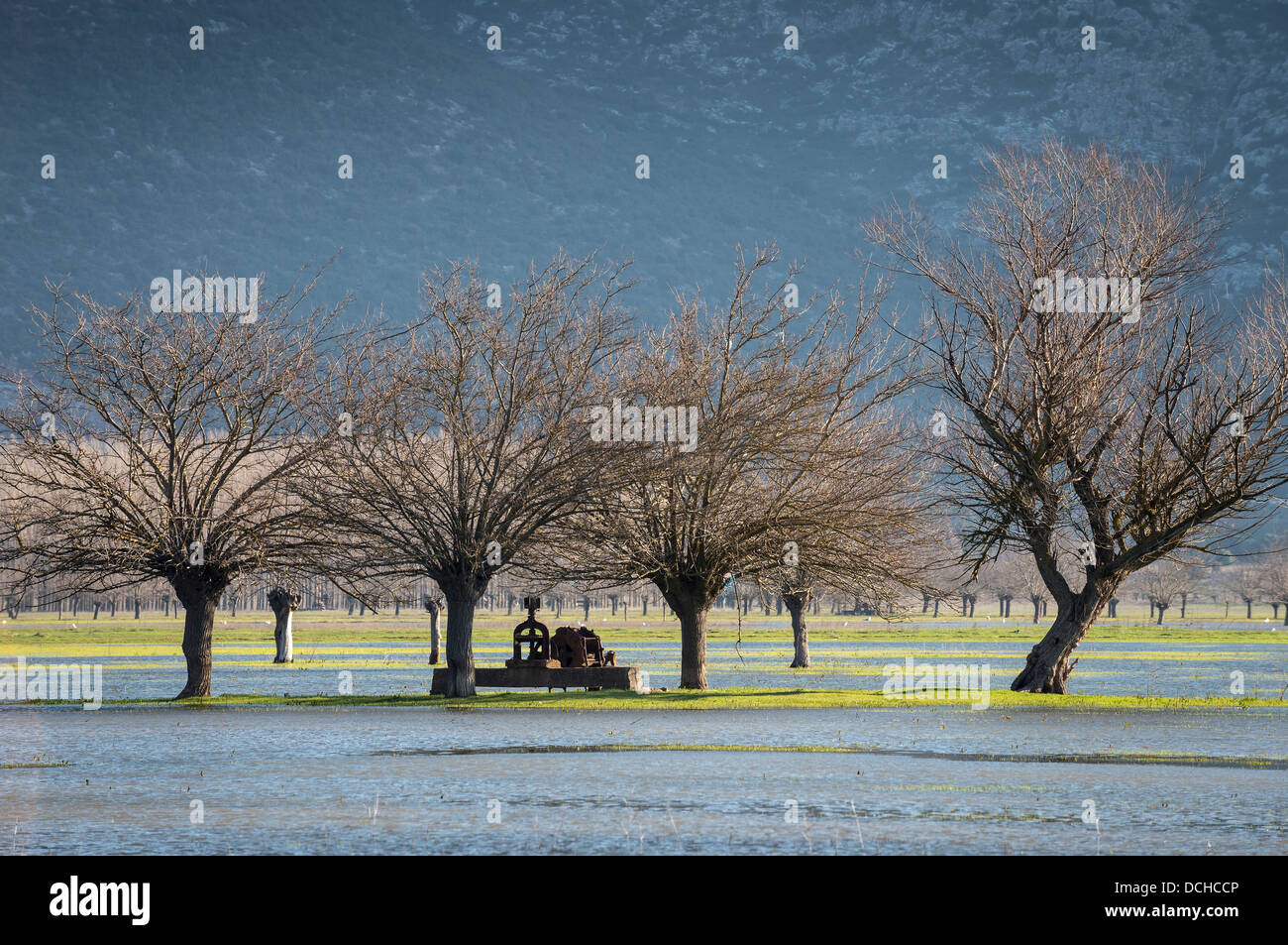 Winter landscape with flooded fields on the plains of Mantineia, near Tripoli, Southern Arcadia, Peloponnese, Greece Stock Photo