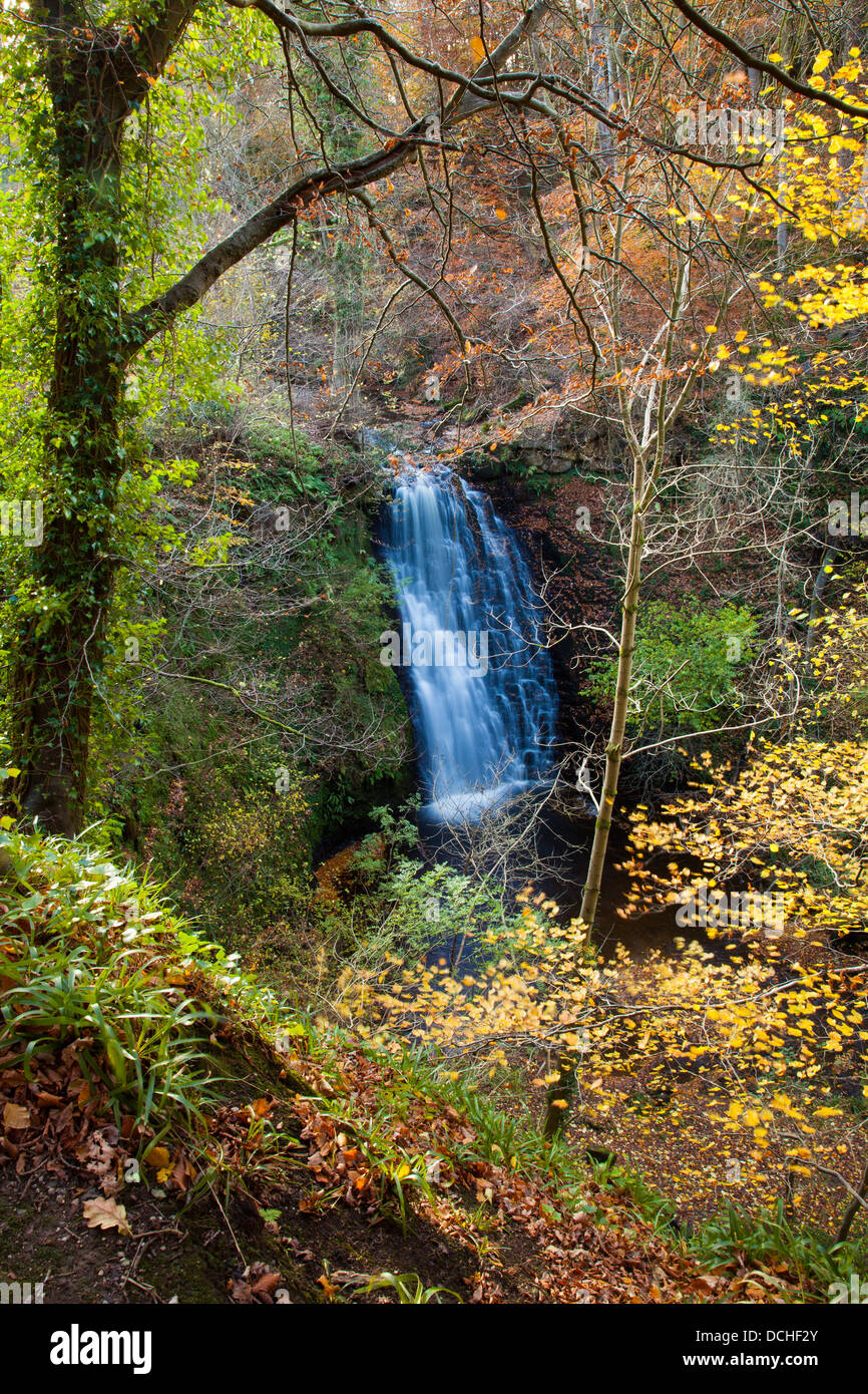 Falling Foss Waterfall, Sneaton, North York Moors Stock Photo