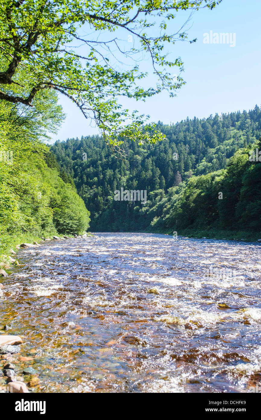 Big Salmon River Fundy Trail New Brunswick Stock Photo Alamy