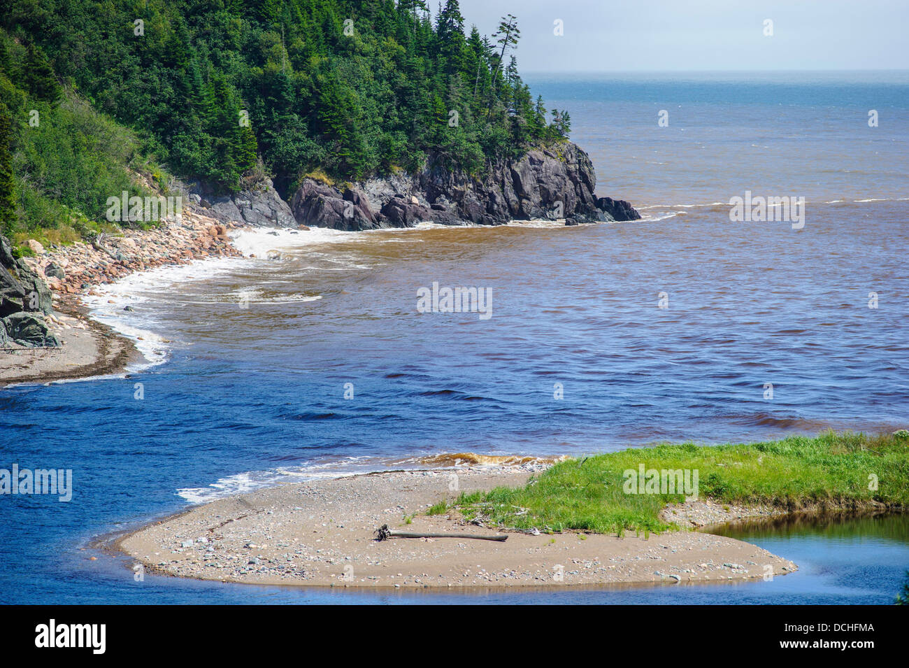 Gran río de salmones en el Fundy Trail Parkway de Nueva Brunswick