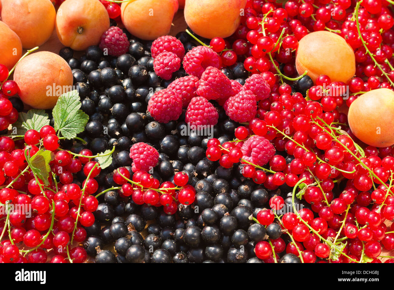 Delicious mix of fresh Apricot, Raspberry, Black and Red Currant with ...