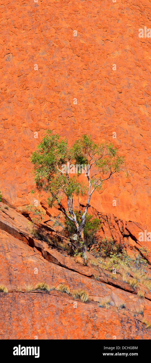 Ayers Rock Central Australia Northern Territory Stock Photo