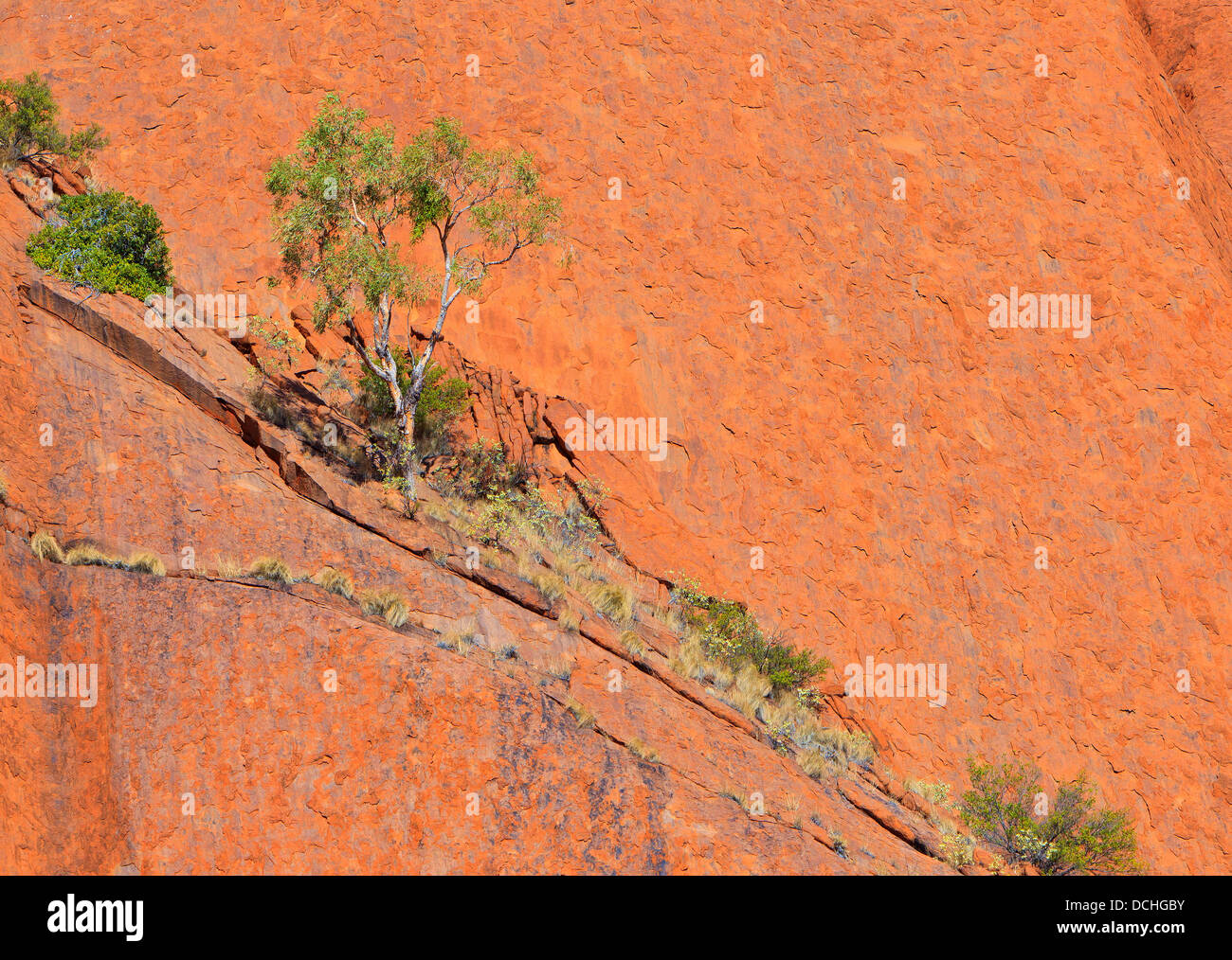 Ayers Rock Central Australia Northern Territory Stock Photo
